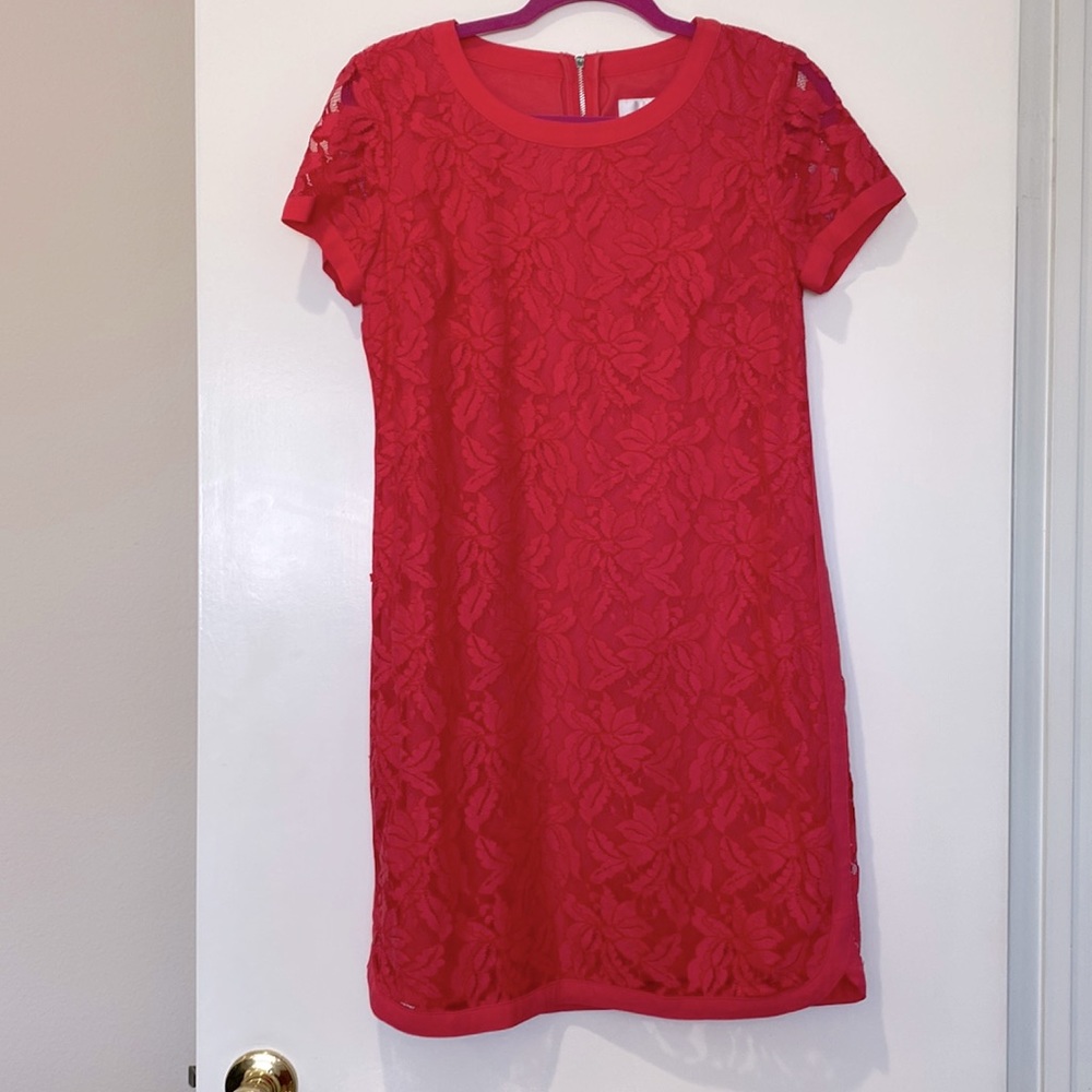 Lace Dress